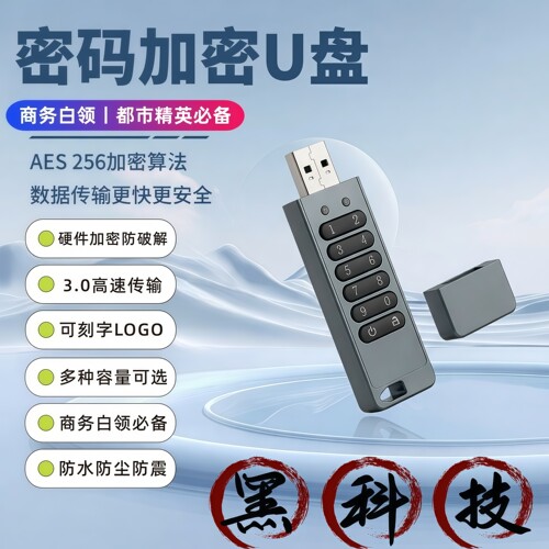 按键加密U盘商务文件自毁防泄密