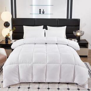 贝莉娅跨境酒店纯色磨毛太空被子加厚羽丝绒冬被双人化纤被芯