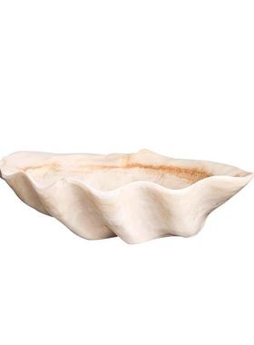 轻奢现代创意小众贝壳艺术果盘酒店客厅玄关桌面托盘工艺品摆设