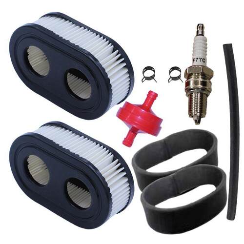 Briggs&Stratton593260 798339 798452 550 09PEX093J02702空滤组