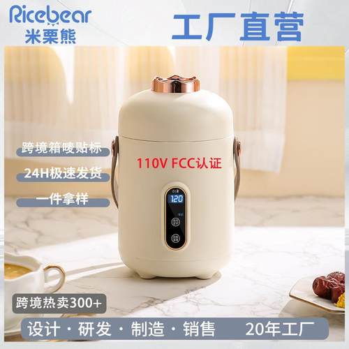 110v/220v现货多功能电煮锅学生宿舍家用电热锅煮面锅迷你小电锅