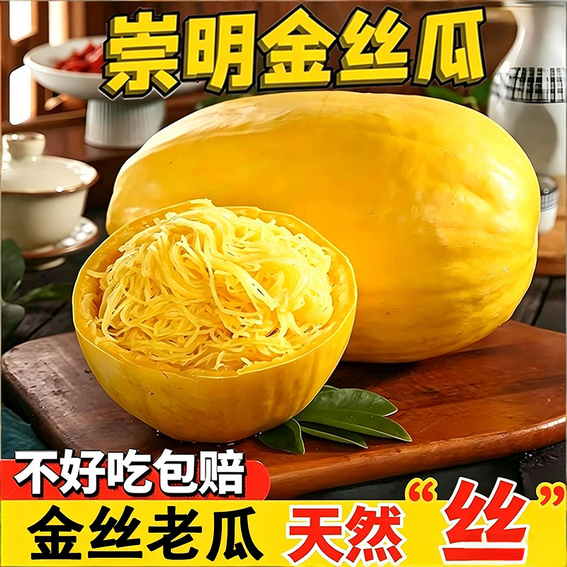 崇明新鲜金丝瓜角瓜绞瓜凉拌瓜鱼翅瓜黄金瓜天然粉丝新鲜蔬菜9斤