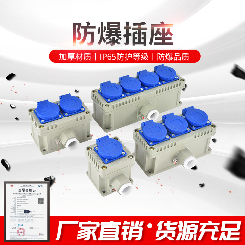 防爆开关插座220V墙壁五孔插座两位开关16A空调插多功能防爆插座