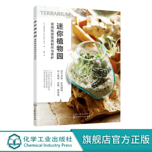 玻璃瓶微景观制作与养护 微景观园艺零基础学习 空气凤梨 玻璃瓶微景观基础教材 微景观园艺 多肉苔藓和蕨类养护技巧书 迷你植物园