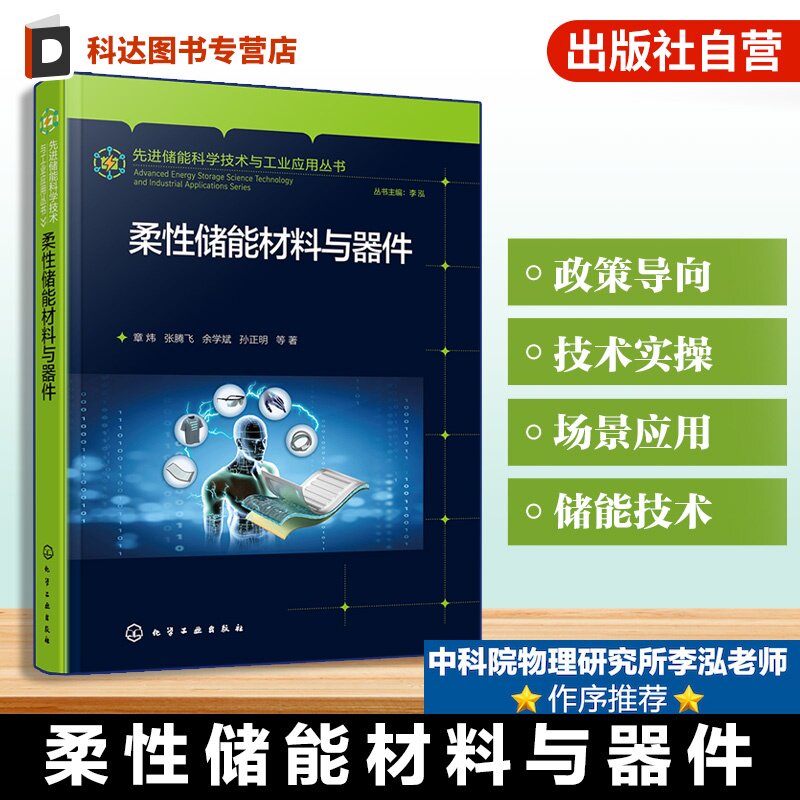 先进储能科学技术与工业应用丛书