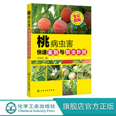 防治 农林院校果树及相关专业师生参考阅读 桃 病虫害 病害 果树 编 桃树 图鉴 桃病虫害快速鉴别与防治妙招 虫害 王天元