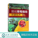 大棚草莓种植书 图说草莓栽培关键技术 草莓栽培技术书籍 草莓种植栽培技术书 草莓速发育农业种植技术书籍 草莓种植书籍大全