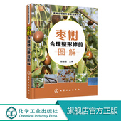 枣树合理整形修剪图解 基础 本书以图文并茂 介绍果树整形修剪 注重实用性文字言简意赅通俗易懂 方式 果树合理整形修剪图解系列