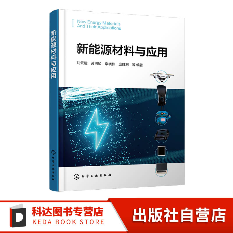 新能源材料与应用 新能源材料的基础和先进表征技术 电化学能源材料基本原理与内在规律 研究方法及科技前沿 材料化学领域人员书籍