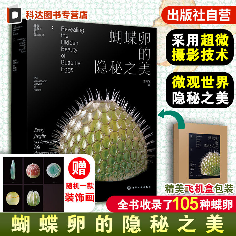 蝴蝶卵的隐秘之美 章叶飞 蝴蝶生长发育自然科普读物 昆虫科普图鉴微距摄影 蝴蝶大百科 昆虫记虫子王国 野外蝴蝶图解图谱一本通书