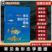 洛阳地区鱼类图鉴 水产科学工具书 基本特征与生活习性 鱼类分类与鉴定指南 渔业科研参考书 分布情况与繁殖特点 常见鱼形态学图谱
