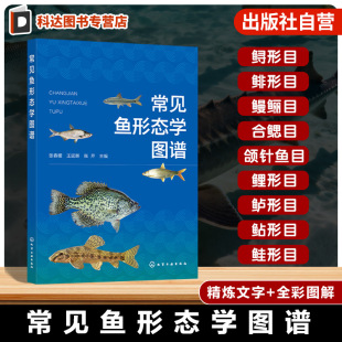 洛阳地区鱼类图鉴 水产科学工具书 基本特征与生活习性 鱼类分类与鉴定指南 渔业科研参考书 分布情况与繁殖特点 常见鱼形态学图谱