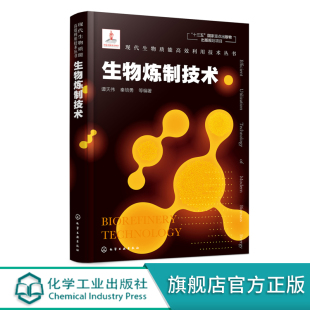 高等学校生物工程 生物质研究和开发工作科研人员参考 能源工程及相关专业教材书籍 生物炼制技术 现代生物质能高效利用技术丛书