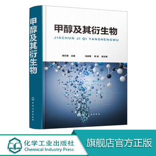 化学工业专业科技甲醇 著作 甲醛 乙醇 衍生物 甲醇及其衍生物 化工工艺甲醇 周万德