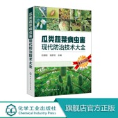 传染性生理性贮藏期病害地下虫食叶及钻蛀性虫害预防 常见病虫害防治方法 瓜类蔬菜病虫害现代防治技术大全 瓜类蔬菜栽培种植书籍