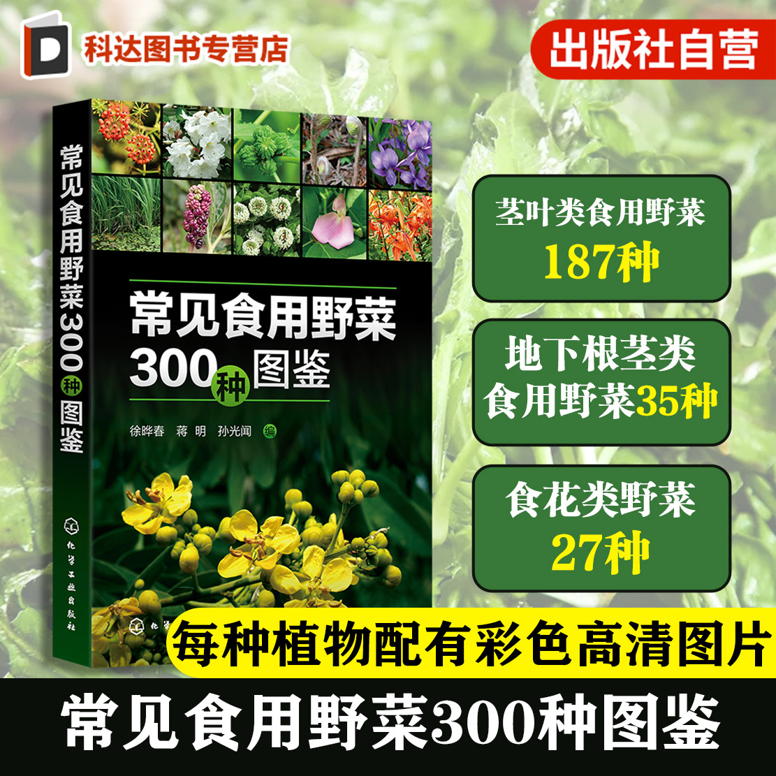 常见食用野菜300种图鉴 地上茎叶类地下根茎类食花类调味类食果类野菜名称科属分类识别特征鉴别技巧应用书 常见食用野菜一本通