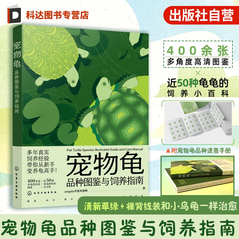 宠物龟品种图鉴与饲养指南