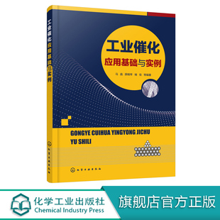 催化剂表面吸附作用 工业催化应用基础与实例 催化反应与催化材料应用 工业催化基础 工业催化剂制备方法技术书籍 催化科学与技术
