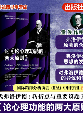 论论心理功能的两大原则  国际精神分析协会 当代弗洛伊德转折点与重要议题系列 精神分析家解读弗洛伊德第四辑 心理学专业参考书