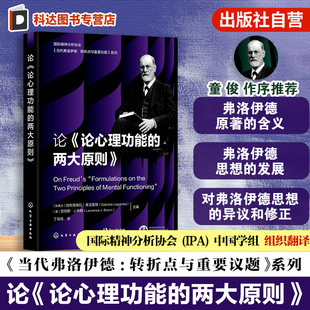 精神分析家解读弗洛伊德第四辑 论论心理功能 当代弗洛伊德转折点与重要议题系列 国际精神分析协会 心理学专业参考书 两大原则