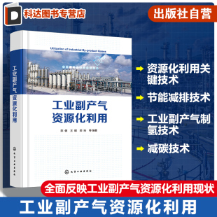 工业副产气制氢关键技术 资源化利用关键技术 高等院校炼油化工冶金能源等专业应用教材 工业大宗副产气 工业副产气资源化利用