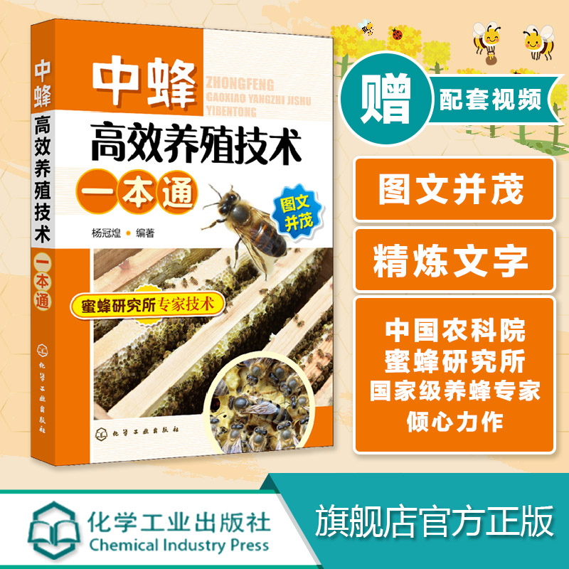 中蜂高效养殖技术一本通 中蜂高效养殖技术大全实用养蜂技术养中华蜂大全书籍 养蜂书中华蜂土蜂中蜂饲养新技术 蜜蜂养殖