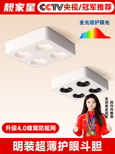 无天花板 表面贴装 无主灯 超薄防眩光 四头方形客厅天 大胆灯