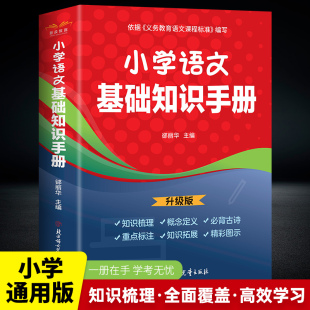 语文教辅小升初复习知识汇总知识 人教版 小学语文基础知识手册一年级二年级三四五六年级全国通用版 语文知识集锦大全
