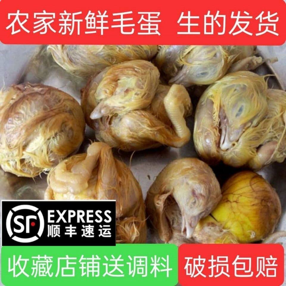 【顺丰】18天毛鸡蛋生的新鲜毛鸡蛋胚蛋旺鸡蛋喜蛋毛鸡蛋半鸡半蛋