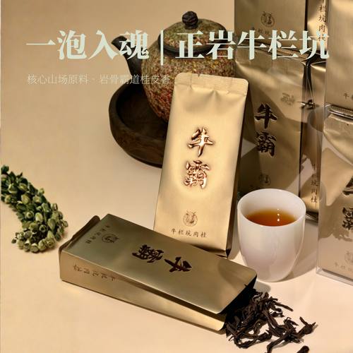 怎岩武夷山肉桂牛栏坑浓香茶250g