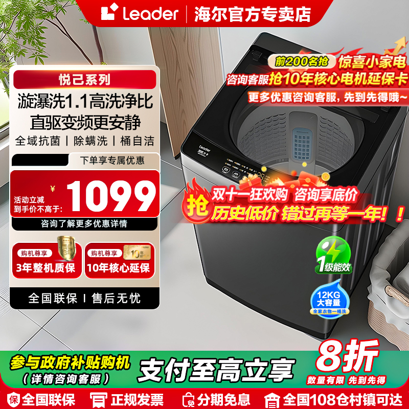 直驱变频海尔智家Leader统帅波轮洗衣机12kg家用全自动大容量533
