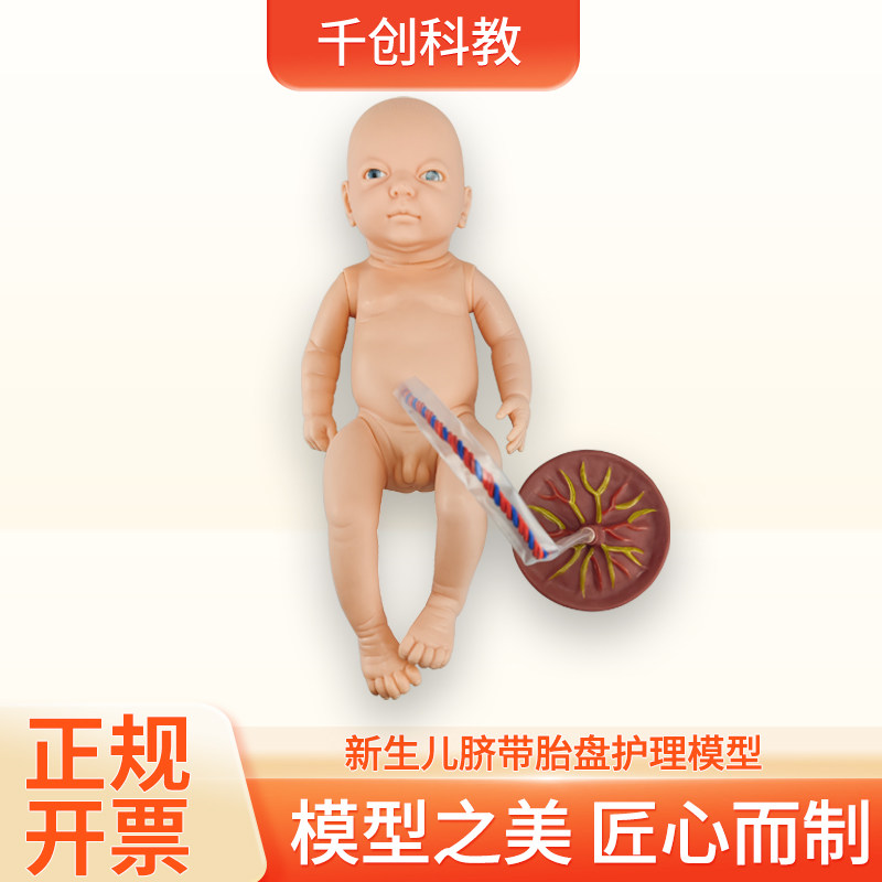 新生儿脐带胎盘护理模型