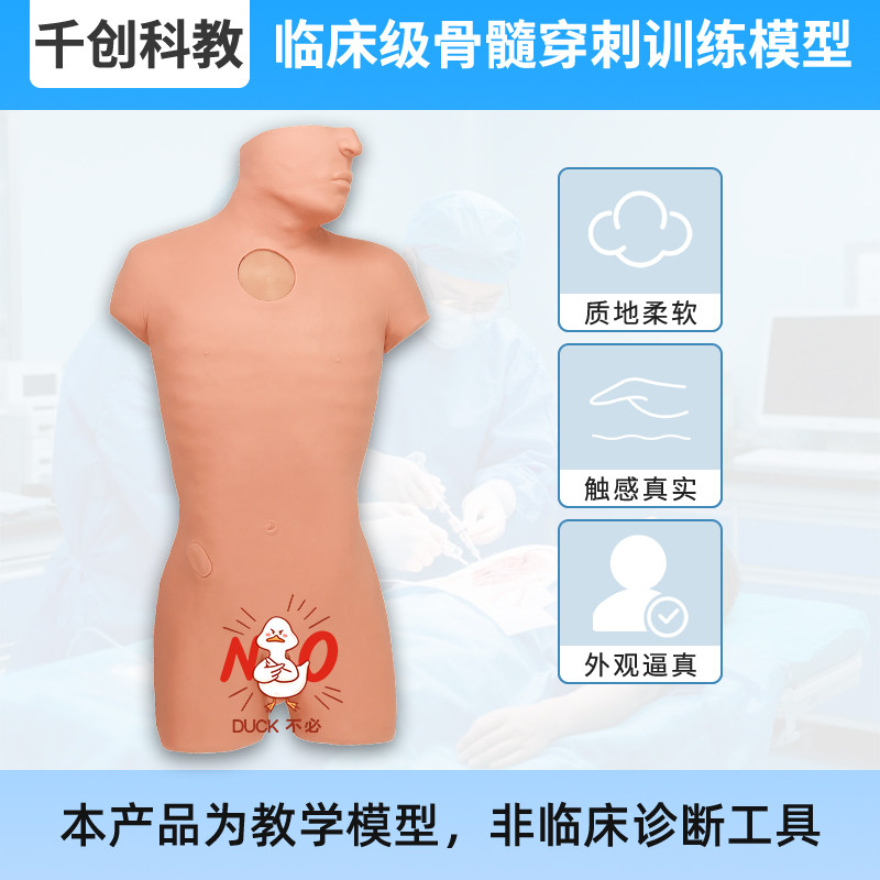 骨髓穿刺训练模型骨髓液抽取
