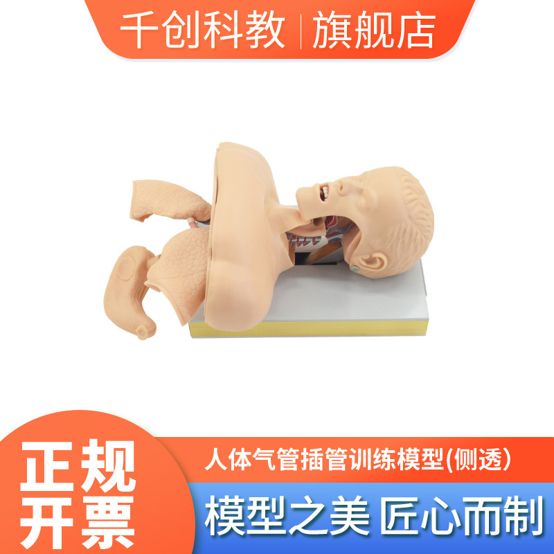 人体气管插管模型电子报警
