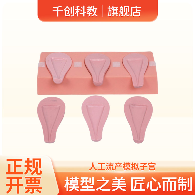 人工流产模拟子宫进口硅胶三体位孕6-7周可拆卸妊娠囊刮取训练扩宫刮匙操作底托固定临床教学医师考核教具