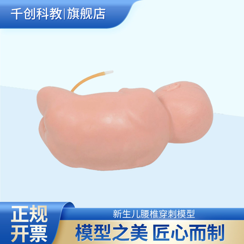 新生儿腰椎穿刺模型脊髓穿刺人体