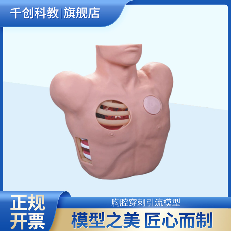 胸腔穿刺引流模型 双侧胸廓设计 气胸液胸闭式引流操作训练 术后护理练习 解剖视窗真实模拟 引流液可调