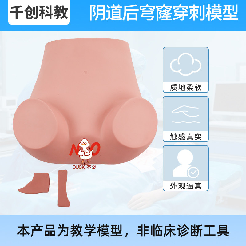 阴道后穹窿穿刺训练模型高仿真弹性材质宫颈定位7号针穿刺多脏器解剖双色液体反馈防误伤设计医学教学教具