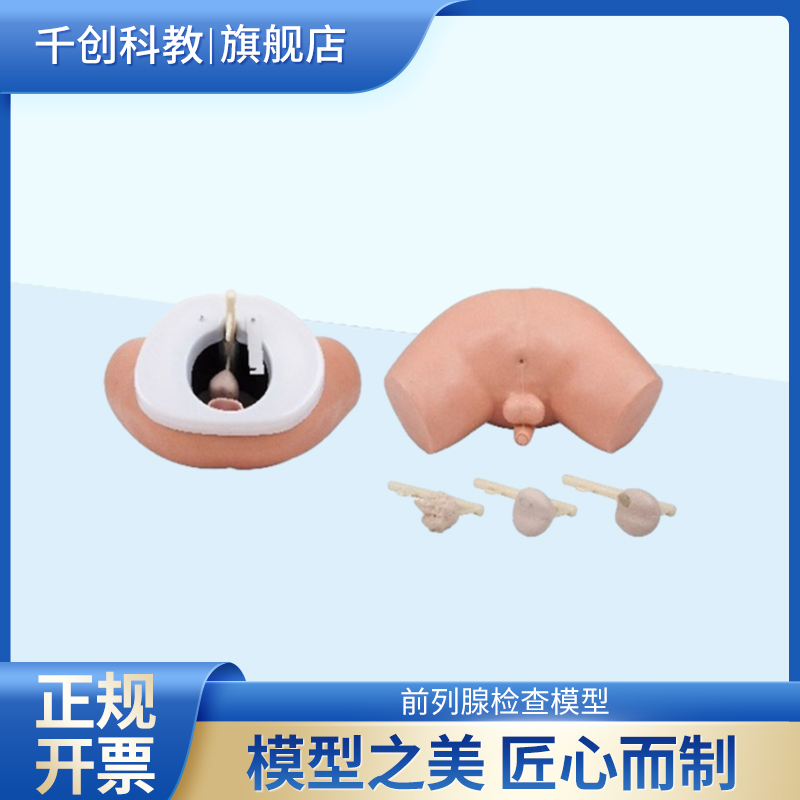 专业前列腺检查模型四阶段病情发展模拟良肿正常摸结节肿瘤扩散腺体坚硬触感真实逼真用于医护人员训练结构F2