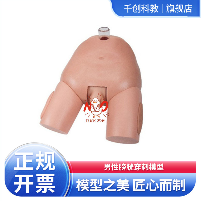 男性膀胱穿刺模型解剖标志包皮可更换膀胱充盈可叩诊穿刺阻力落空感真实反复训练导尿膀胱冲洗操作生理狭窄医