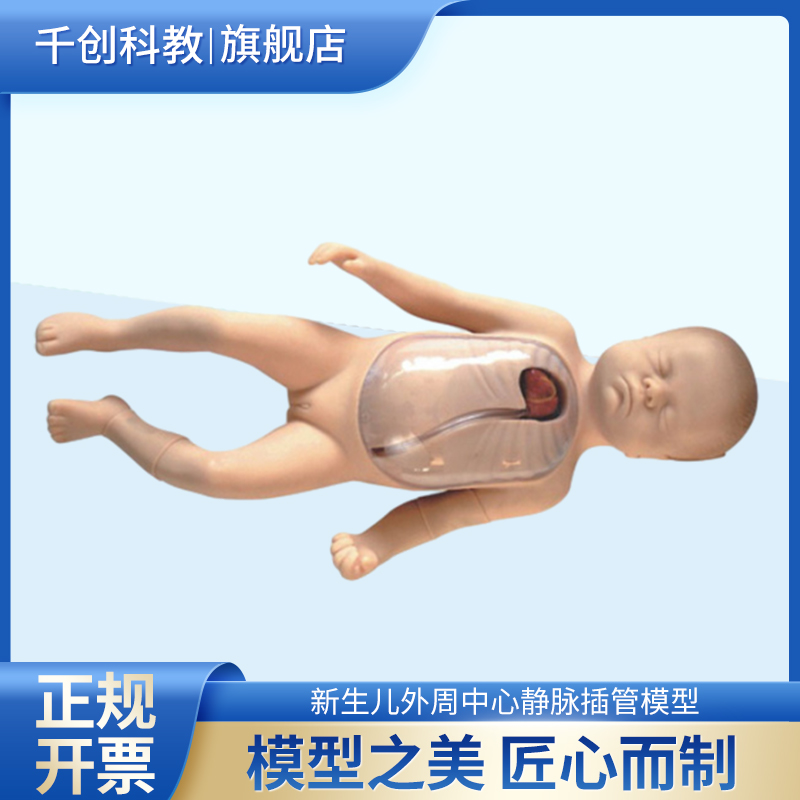 新生儿外周中心静脉插管模型胸壁透明可透视静脉可见心脏肋骨测量导管长度上腔静脉显示位置解剖精准皮肤柔软