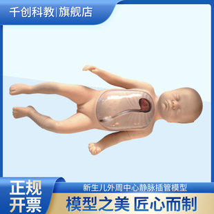 新生儿外周中心静脉插管模型胸壁透明可透视静脉可见心脏肋骨测量导管长度上腔静脉显示位置解剖精准皮肤柔软