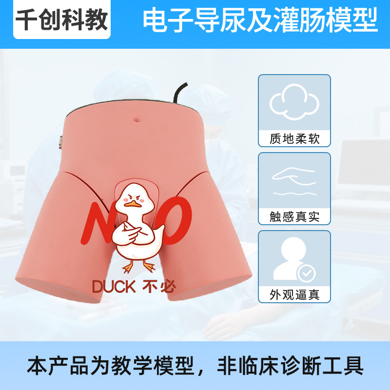 男女导尿灌肠训练模型电子光感反馈模块化解剖结构体位可调医学教具 尿道膀胱定位警示模拟尿液回流实训器材
