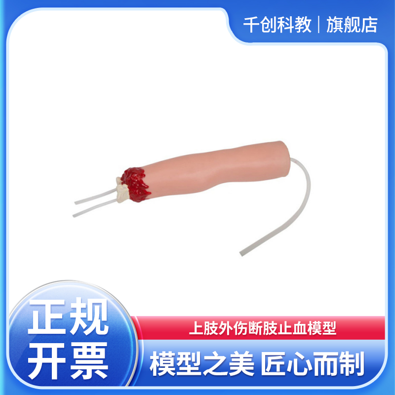 上肢外伤断肢止血模型肱动脉压迫止血训练按压走行区产生止血效果专业急救教学教具医用仿真练习器材