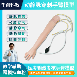 动静脉穿刺手臂模型输液练习肌肉注射皮内皮试注射护士练手模具