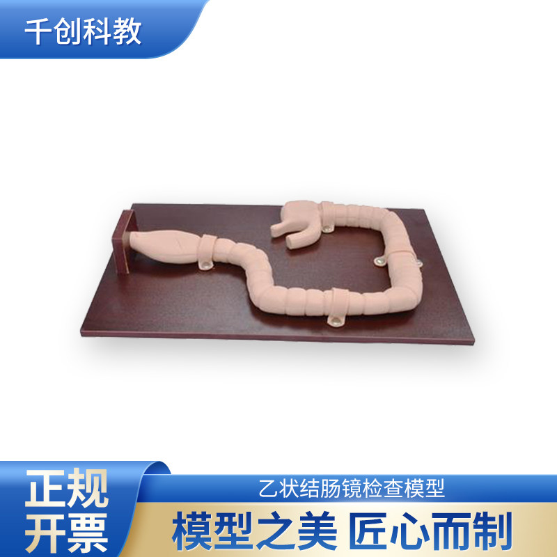 高仿真乙状结肠镜检查模型