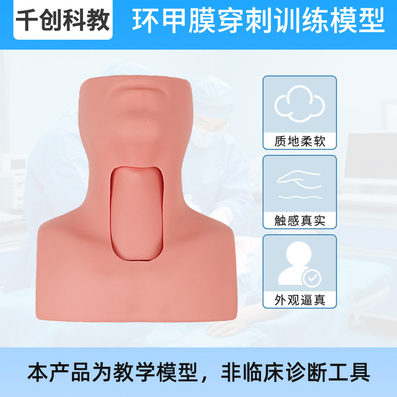 环甲膜穿刺气管切开训练模型多切口类型经皮仰卧位解剖动脉精准定位可视观察窗可换气管皮肤模块医学临床教具