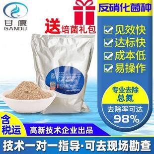 厌氧菌微生物总氮去除菌剂厌氧池缺氧池专用菌剂 甘度反硝化细菌
