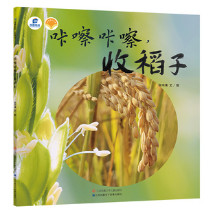东方娃娃 中国故事·植物篇-咔嚓咔嚓，收稻子（简装）3岁-6岁 从一粒种子开始，寻找水稻生长的答案