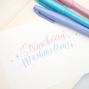 省心配色套装！派通touch彩色软笔brush lettering手账英文花体字